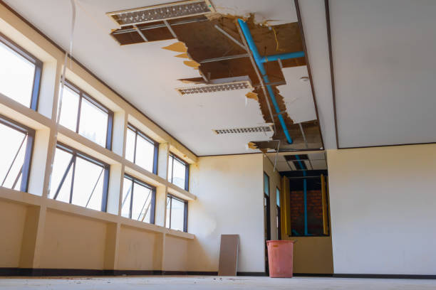 Best Fire Damage Restoration  in Fairmount Heights, MD