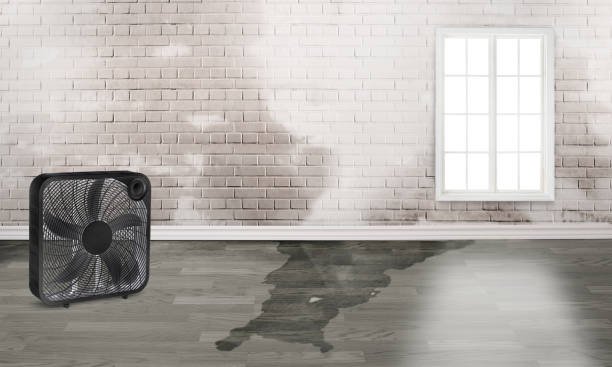 Best Water damage contractors near me  in Fairmount Heights, MD